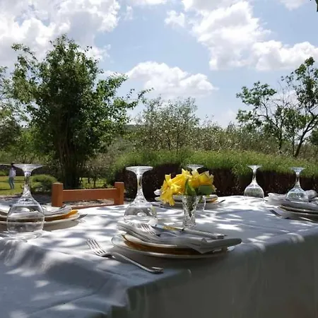 Guest house 