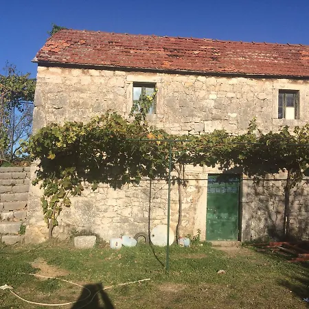 Guest house 