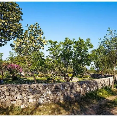 بيت ضيافة 